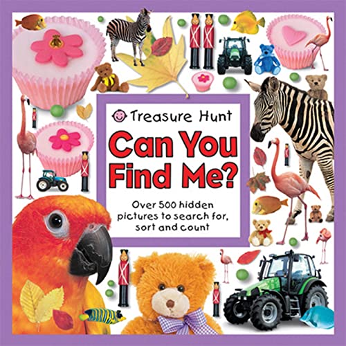 Treasure Hunt Can You Find Me? (Seek and Find Book)