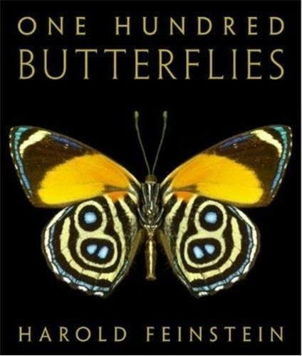 One Hundred Butterflies