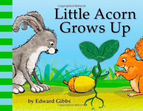 Little Acorn Grows Up
