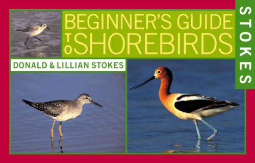 Stokes Beginner's Guide to Shorebirds