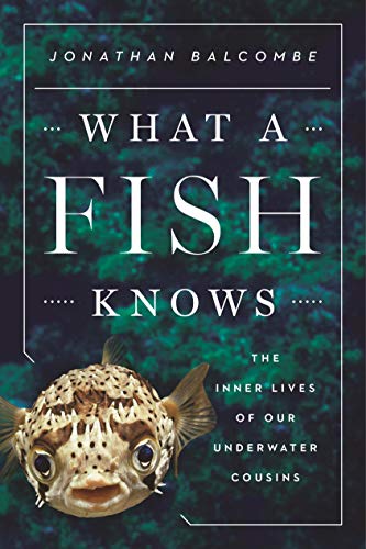 What a Fish Knows: The Inner Lives of Our Underwater Cousins