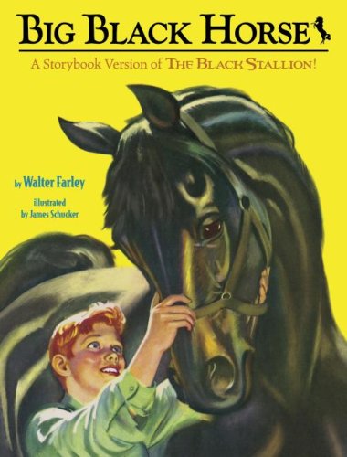 Big Black Horse (Picture Book)