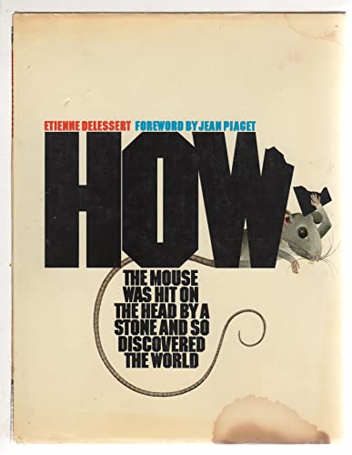 How the Mouse Was Hit on the Head by a Stone and So Discovered the World