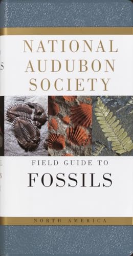 National Audubon Society Field Guide to North American Fossils