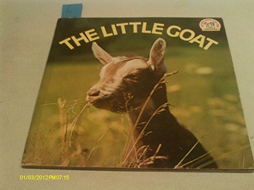 The Little Goat