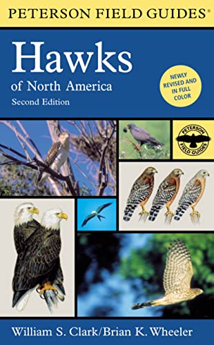 A Peterson Field Guide To Hawks Of North America (Peterson Field Guides)