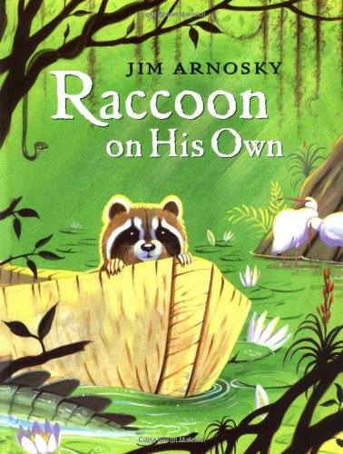 Raccoon on His Own