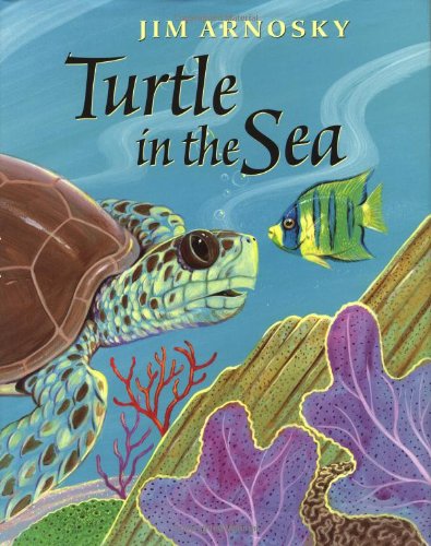 Turtle in the Sea