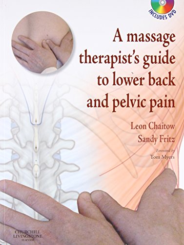 A Massage Therapist's Guide to Lower Back & Pelvic Pain
