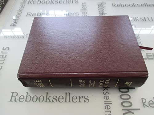 Cover of The EveryDay Life Bible, Amplified Version by Notes and Commentary By Joyce Meyer., bonded_leather Book