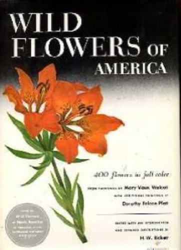 Wild Flowers Of America