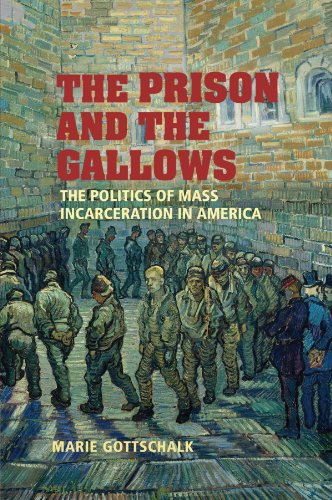 The Prison and the Gallows: The Politics of Mass Incarceration in America (Cambridge Studies in Criminology)