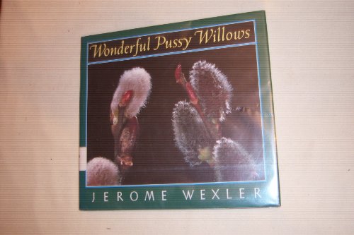 Wonderful Pussy Willows