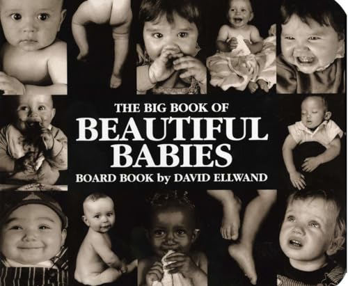 The Big Book of Beautiful Babies Board Book