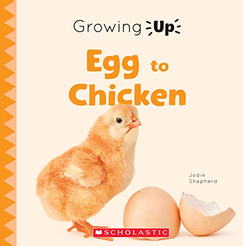 Egg to Chicken (Growing Up) (Paperback) (Explore the Life Cycle!)