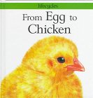 From Egg to Chicken (Lifecycles)