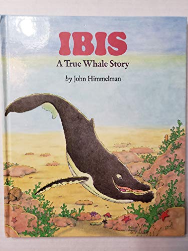 Ibis: A True Whale Story