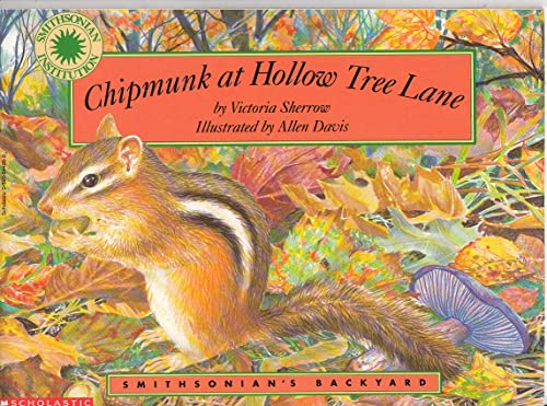 Chipmunk at Hollow Tree Lane (Smithsonian's Backyard)