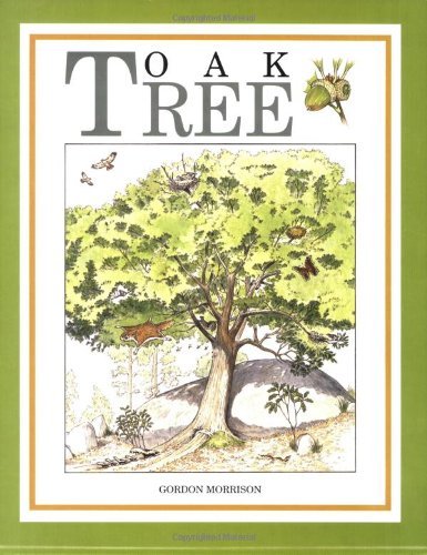 Oak Tree
