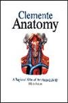 Clemente Anatomy A Regional Atlas of the Human Body 4th Edition (Fourth Edition)