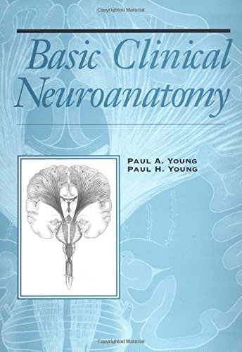 Basic Clinical Neuroanatomy