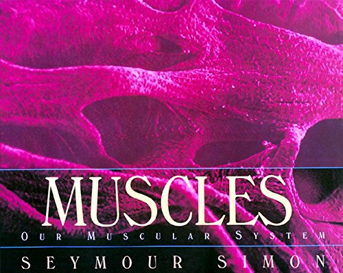 Muscles: Our Muscular System