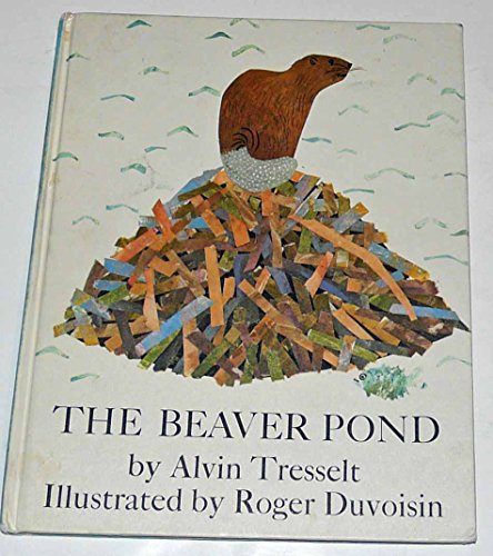 The Beaver Pond