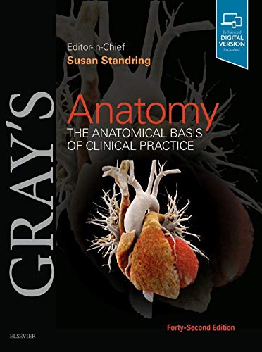 Gray's Anatomy: The Anatomical Basis of Clinical Practice