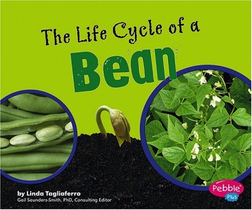 The Life Cycle of a Bean (Pebble Plus)