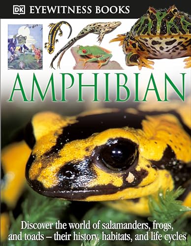 Amphibian