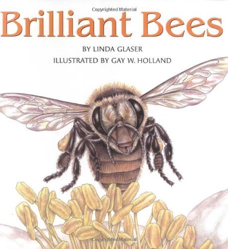 Brilliant Bees