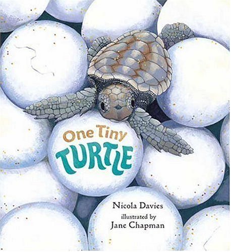 One Tiny Turtle (Read and Wonder)