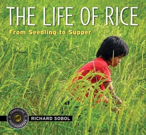 The Life of Rice: From Seedling to Supper (Traveling Photographer)