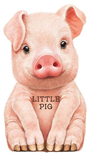 Little Pig (Mini Look at Me Books)
