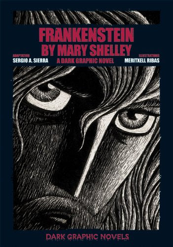 Frankenstein by Mary Shelley: A Dark Graphic Novel (Dark Graphic Novels)