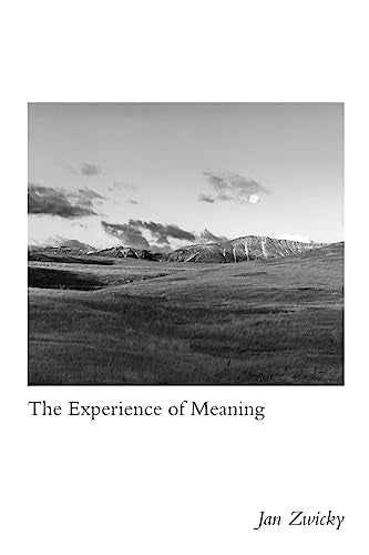 The Experience of Meaning