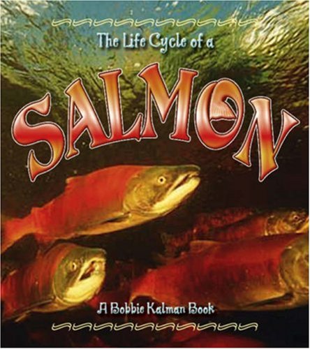 The Life Cycle of a Salmon (The Life Cycle, 26)