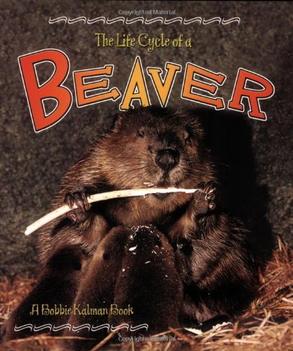 The Life Cycle of a Beaver