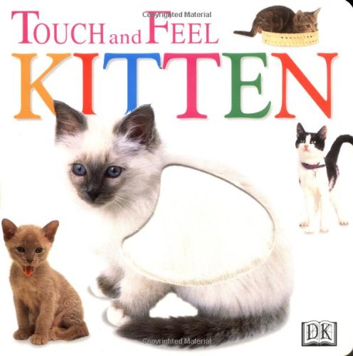 Touch and Feel: Kitten (Touch and Feel)