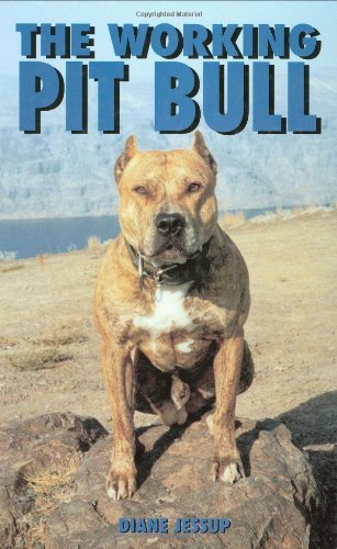 The Working Pit Bull