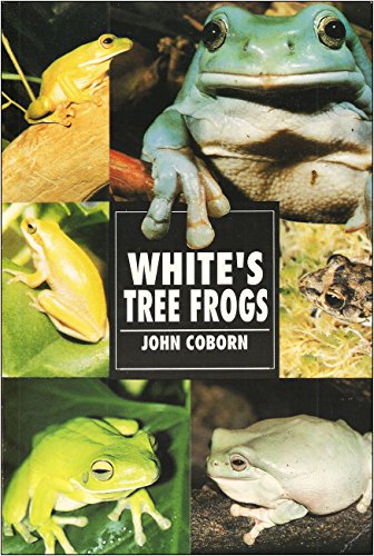 The Guide to Owning White's Tree Frog