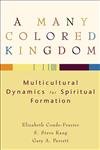 A Many Colored Kingdom: Multicultural Dynamics for Spiritual Formation