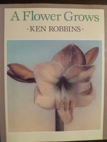 A Flower Grows