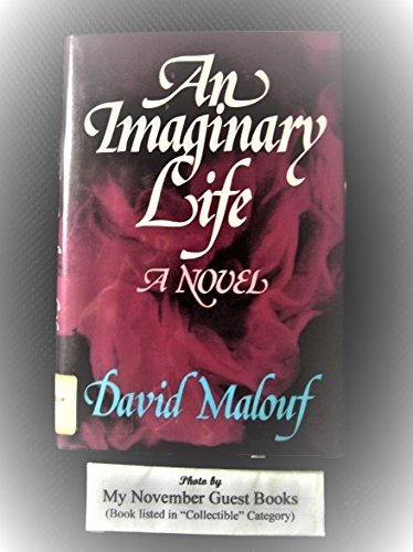 An Imaginary Life: A Novel