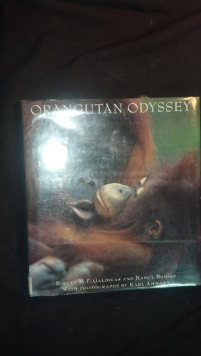 Orangutan Odyssey