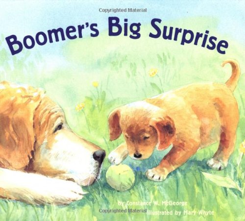 Boomer's Big Surprise (Boomer, BOOM)