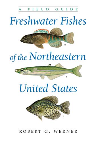 Freshwater Fishes of the Northeastern United States: A Field Guide (New York State Series)