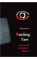 Watching Race: Television and the Struggle for Blackness