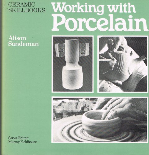 Working with porcelain (Ceramic skillbooks)