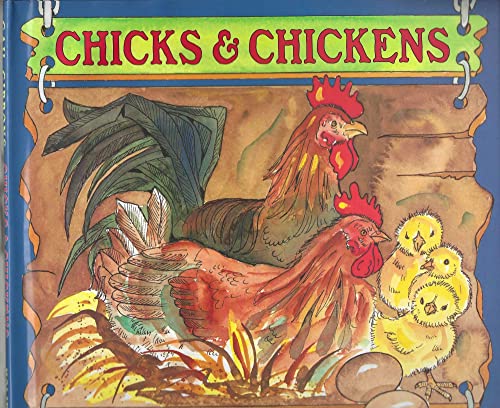 Chicks & Chickens